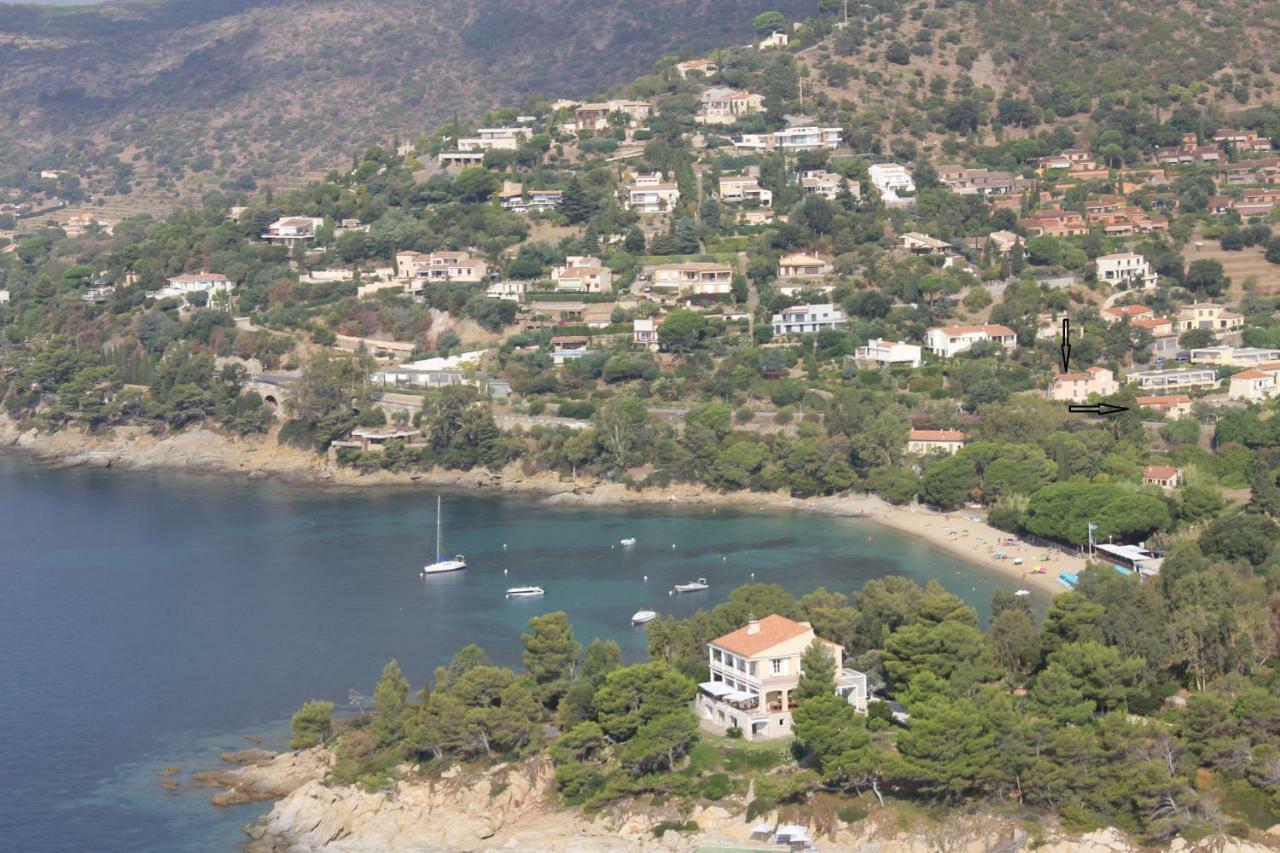 La Fossette