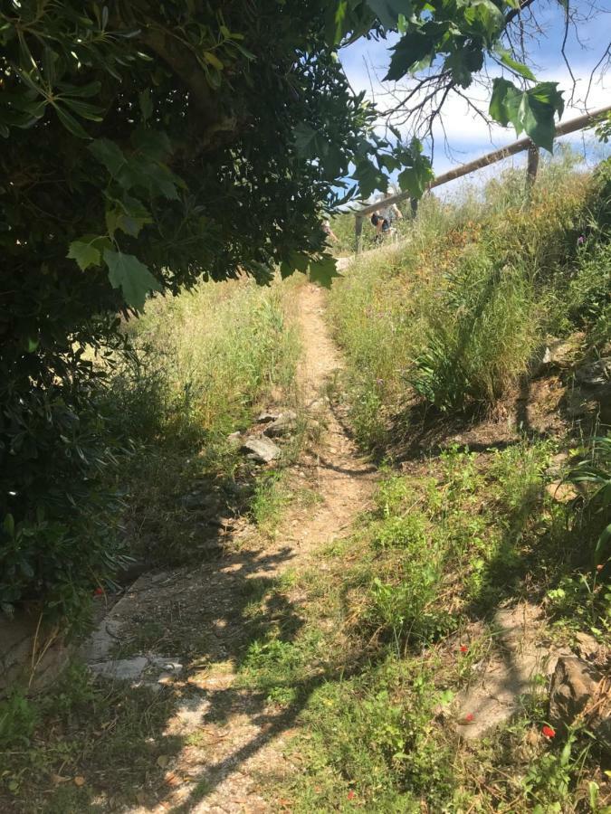 Apartamento La Fossette